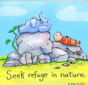 Refuge in Nature